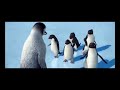 Happy Feet Amigos