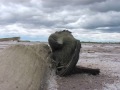 pajaro salino vuela hacia otro mundo pajaro salino vuela hacia otro mundo