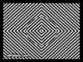 ilucion optica