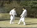 Taekkyon - chutes baixos Taekkyon - chutes baixos