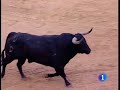 Primer encierro de San Fermín 2009