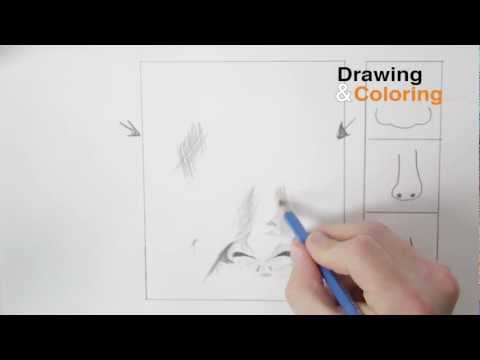 how to draw for beginners