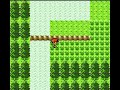 Pokemon Gold, Wild Egg! Pokemon Gold, Wild Egg!