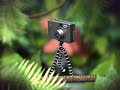 Joby Gorillapod Jungle Animation