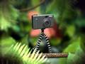 Joby Gorillapod Jungle Animation