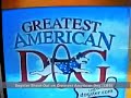 Dogster.com Shout Out on Greatest American Dog (CBS) Dogster.com Shout Out on Greatest American Dog (CBS)