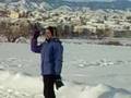 Alaskan Malamute video