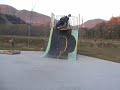 Spt Sk8
