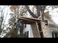 Fort Yukon Bouldering Wall Tree Platform