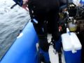 Preparing for a baited dive