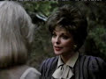 \"Dynasty\" Cat Fights