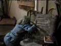 Dynasty Cat Fights