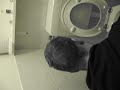 peter op zijn slechte dag.
dit keer zijn de bruine bonen niet zo goed op de maag gevallen.
gefilmd door sjors