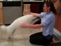 Falkor Jumps for his Mom