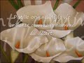 poema ella  she  elle  versiones en ingles y frances 