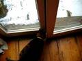 scrambles and the snowflake