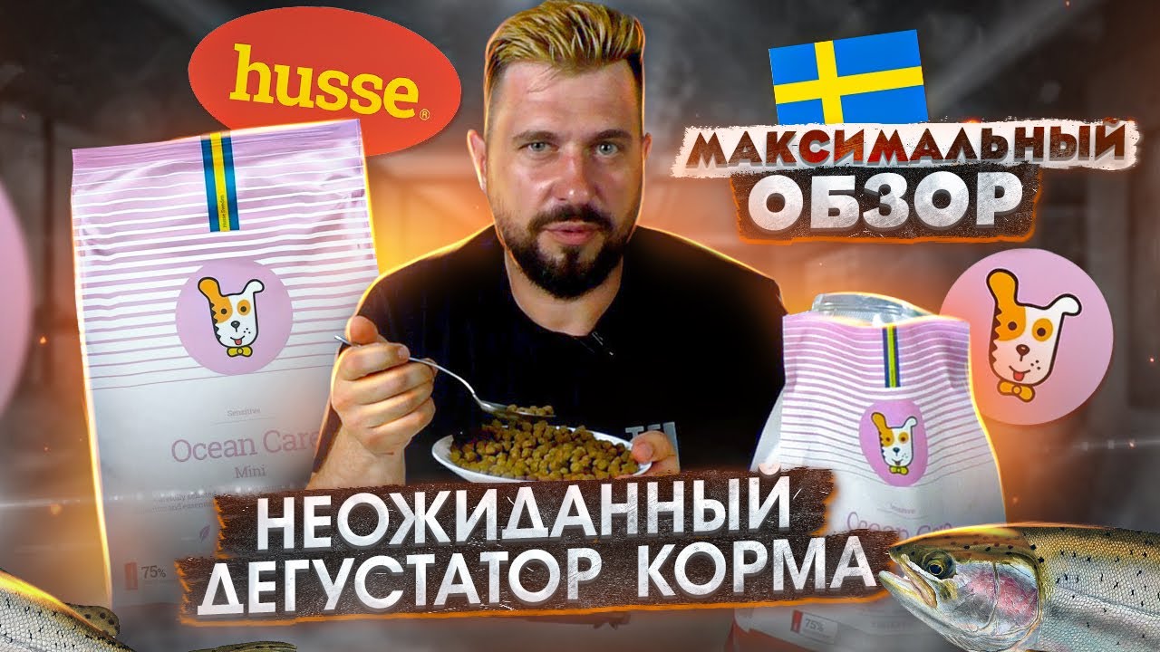 Корм Husse для собак | Шведский корм из Бельгии | Обзор на корм для собак