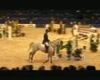 °Show jumping°