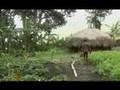 Papua: Indonesia's silent war - 29 May 2008