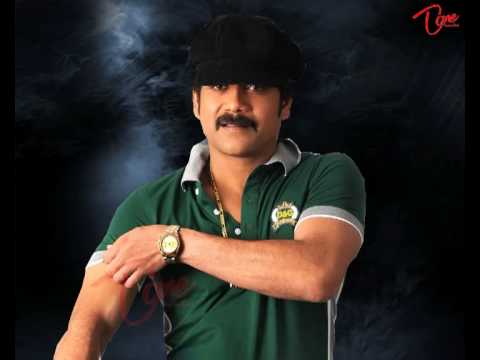 new year, 2010, happy new year, telugu stars, entertainment, teluguone, kcr, chiranjeevi, nagarjuna, mahesh babu, pokiri, wishes, celebrations, pawan kalyan, kajal, ram charan, jai telangana, samikyandhra, rayalaseema
