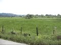 North Borneo Railway