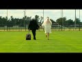 d�couvrez le dernier tube de raymond tagn�, 