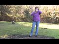 About Plants & Gardens : How to Grow Grass on a Clay-Based Yard About Plants & Gardens : How to Grow Grass on a Clay-Based Yard