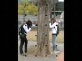 videos de feliz cumplee amor (L)