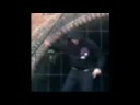 Steperzy-gangsterzy szalej? (c-walk parodia)