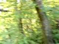 videos de COMEPIEDRA DEL CERRO 3 .MP4