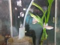 DSCF1733