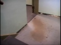 The walk down three flights of staris at Buffalo City Hall The walk down three flights of staris at Buffalo City Hall