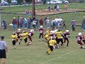 Sack The Quaterback