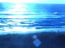 surfing new york city, new jersey and cape cod.... oceanland surfing new york city, new jersey and cape cod.... oceanland