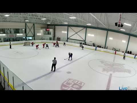 #11 NUJPE vs FEIA Puck Tracking and D to D for shot