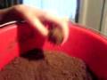 videos de Fish Tech - Bream - Part 1