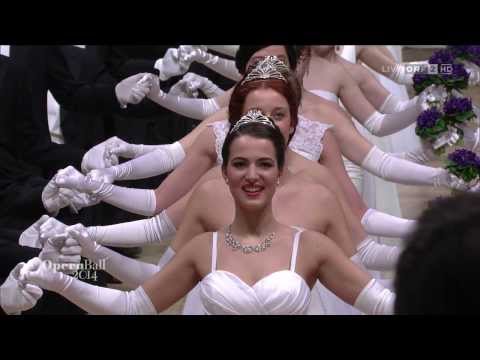 Wien: Wiener Opernball 2014 - 58. Wiener Opernball - Einzug Erffnungskomitee - Debtantinnen und Debtanten