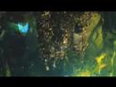play video - The Spiderwick Chronicles - The Spiderwick Chronicles