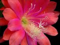 Reiki - Floating Reiki - Floating