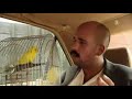 Abu Hassan - Ber�ttar en saga