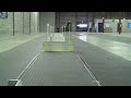 Zooo Playing Flyball