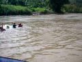 Swimming Time...............