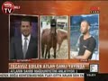 YOK ARTIK CANLI TVDE AYGIR MUHABBETI =) http://www.youtube.com/watch?v=78fnlRq2df8
