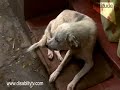 Sri Lanka part 1