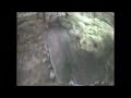 Mountain bike descent VT Mountain bike descent VT