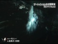 KB09 「アートインコンテナ 国際展」 コンテナNo.52