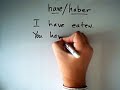 Compound Tenses with Haber and Estar in Spanish