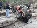Bull on Webber Falls III