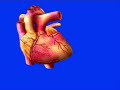 Hypertension (???? ??????????????) Part 3 of 7