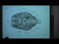 Behavioral Neuroscience 2 Video Tutorial